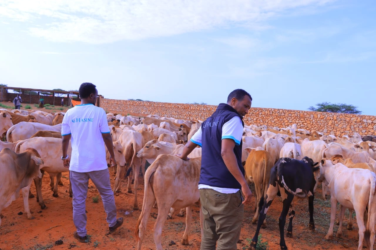 Qurban images Image 21